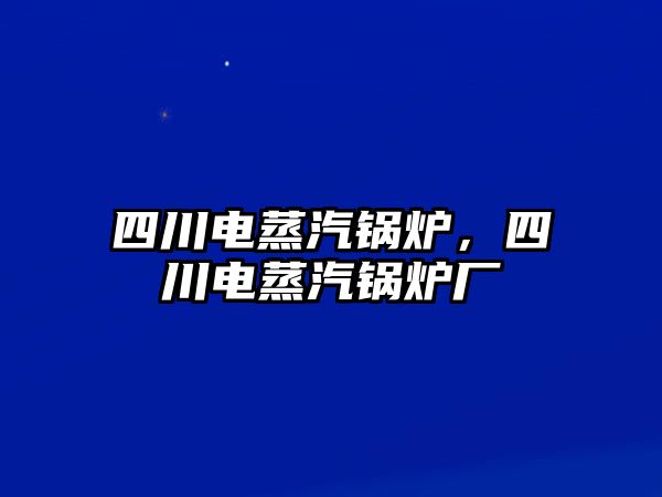 四川電蒸汽鍋爐，四川電蒸汽鍋爐廠