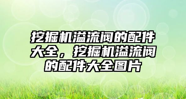 挖掘機溢流閥的配件大全，挖掘機溢流閥的配件大全圖片