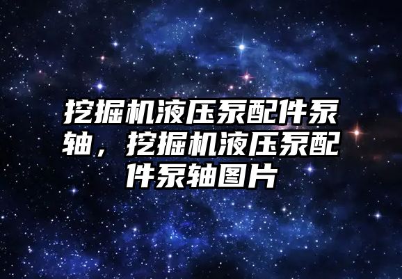 挖掘機液壓泵配件泵軸，挖掘機液壓泵配件泵軸圖片