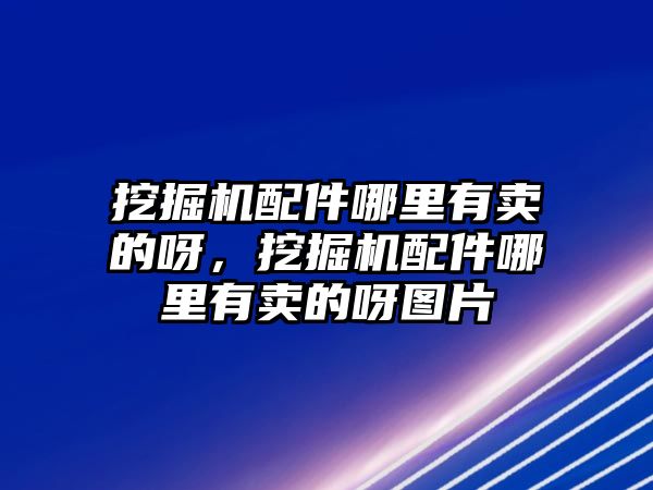 挖掘機配件哪里有賣的呀，挖掘機配件哪里有賣的呀圖片