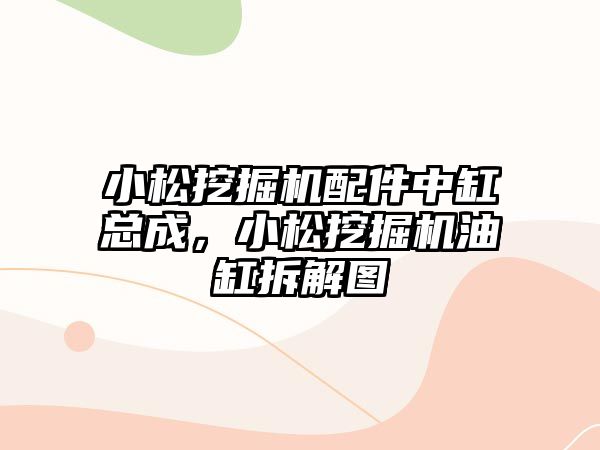 小松挖掘機配件中缸總成，小松挖掘機油缸拆解圖