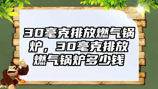 30毫克排放燃氣鍋爐，30毫克排放燃氣鍋爐多少錢