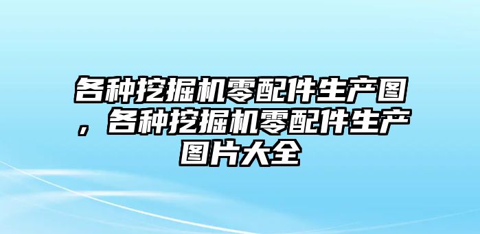 各種挖掘機(jī)零配件生產(chǎn)圖，各種挖掘機(jī)零配件生產(chǎn)圖片大全