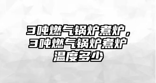 3噸燃?xì)忮仩t煮爐，3噸燃?xì)忮仩t煮爐溫度多少