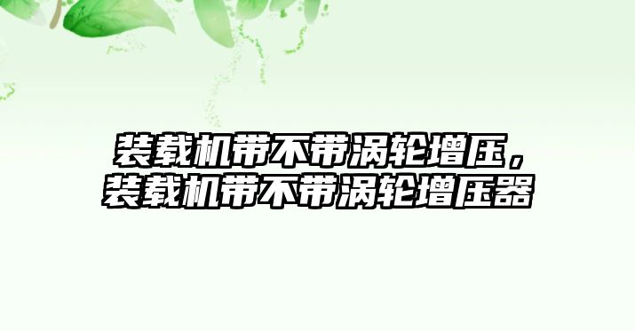 裝載機帶不帶渦輪增壓，裝載機帶不帶渦輪增壓器