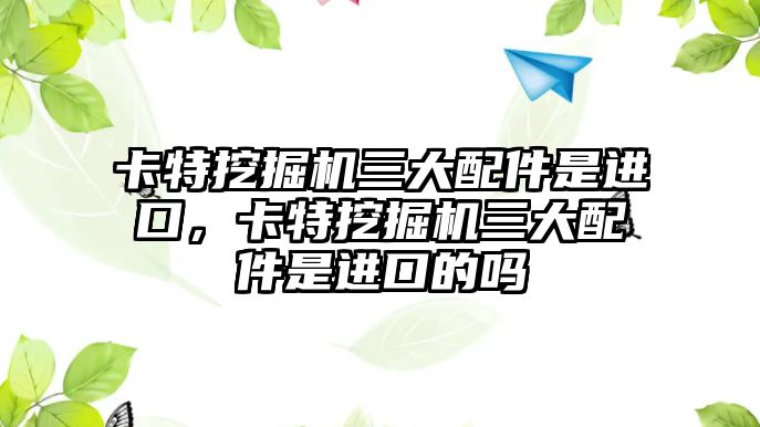 卡特挖掘機三大配件是進(jìn)口，卡特挖掘機三大配件是進(jìn)口的嗎