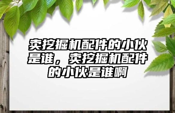 賣挖掘機配件的小伙是誰，賣挖掘機配件的小伙是誰啊