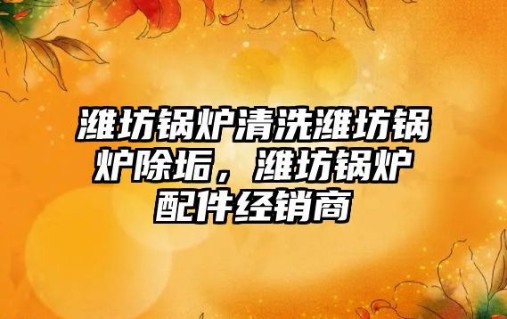 濰坊鍋爐清洗濰坊鍋爐除垢，濰坊鍋爐配件經(jīng)銷商