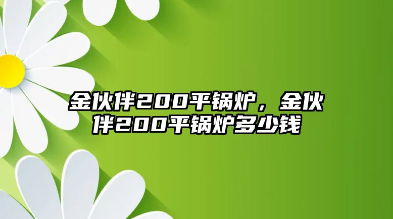 金伙伴200平鍋爐，金伙伴200平鍋爐多少錢