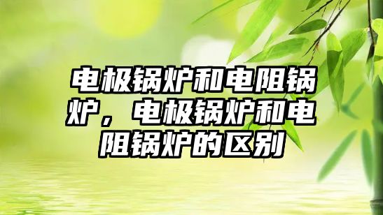 電極鍋爐和電阻鍋爐，電極鍋爐和電阻鍋爐的區(qū)別