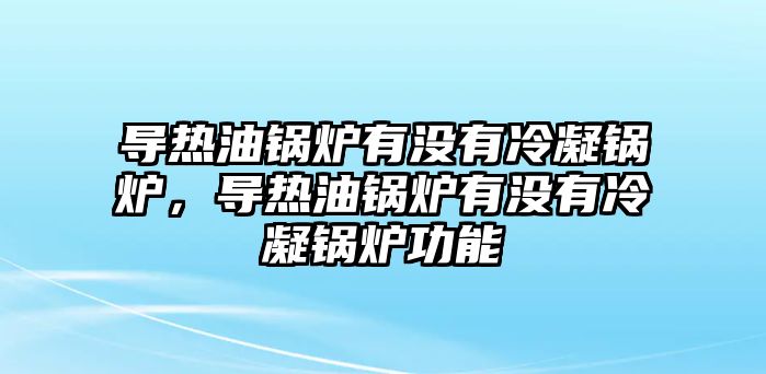 導熱油鍋爐有沒有冷凝鍋爐，導熱油鍋爐有沒有冷凝鍋爐功能