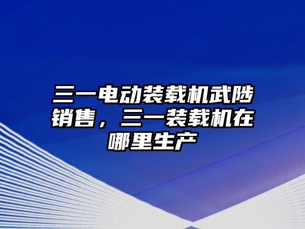 三一電動(dòng)裝載機(jī)武陟銷售，三一裝載機(jī)在哪里生產(chǎn)