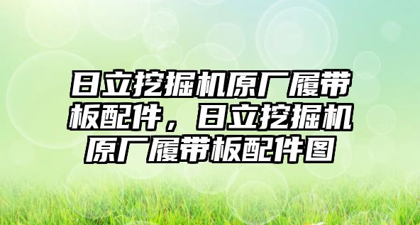 日立挖掘機(jī)原廠履帶板配件，日立挖掘機(jī)原廠履帶板配件圖