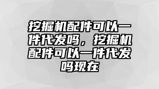 挖掘機(jī)配件可以一件代發(fā)嗎，挖掘機(jī)配件可以一件代發(fā)嗎現(xiàn)在