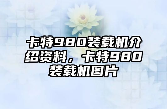 卡特980裝載機(jī)介紹資料，卡特980裝載機(jī)圖片