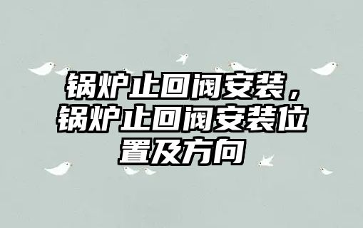 鍋爐止回閥安裝，鍋爐止回閥安裝位置及方向