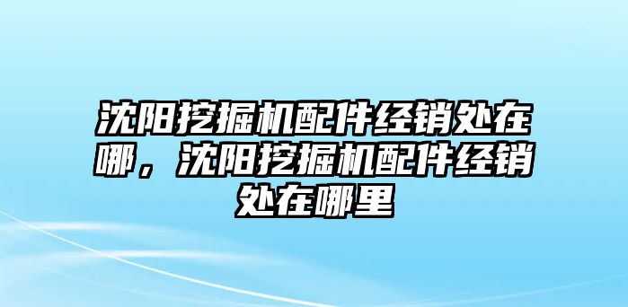 沈陽挖掘機(jī)配件經(jīng)銷處在哪，沈陽挖掘機(jī)配件經(jīng)銷處在哪里