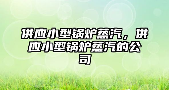 供應(yīng)小型鍋爐蒸汽，供應(yīng)小型鍋爐蒸汽的公司