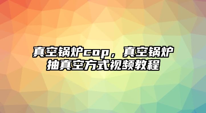 真空鍋爐cop，真空鍋爐抽真空方式視頻教程