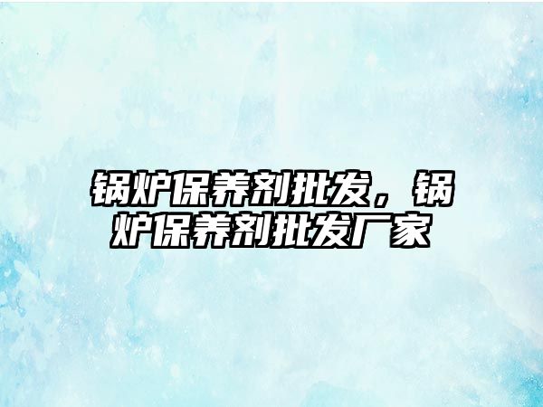 鍋爐保養(yǎng)劑批發(fā)，鍋爐保養(yǎng)劑批發(fā)廠家