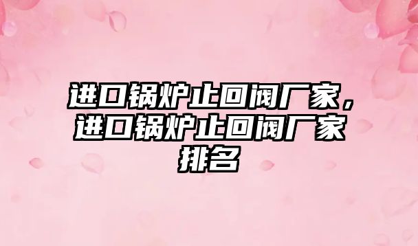 進(jìn)口鍋爐止回閥廠家，進(jìn)口鍋爐止回閥廠家排名