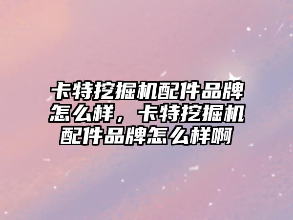 卡特挖掘機配件品牌怎么樣，卡特挖掘機配件品牌怎么樣啊