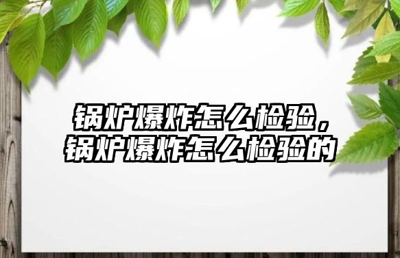 鍋爐爆炸怎么檢驗，鍋爐爆炸怎么檢驗的