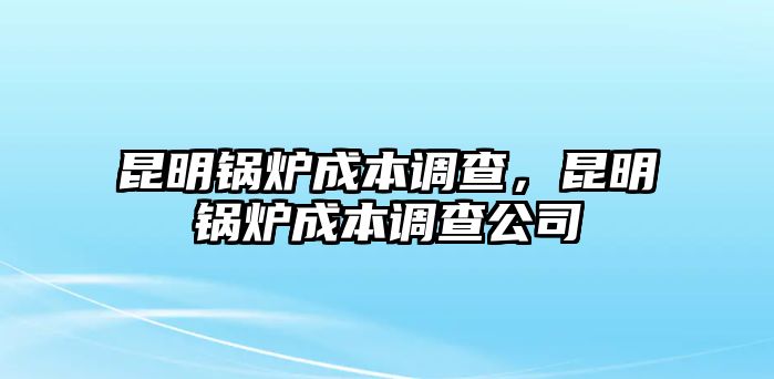 昆明鍋爐成本調(diào)查，昆明鍋爐成本調(diào)查公司