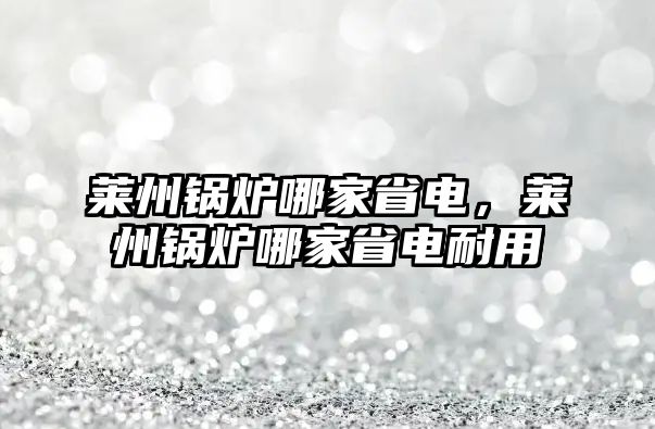 萊州鍋爐哪家省電，萊州鍋爐哪家省電耐用