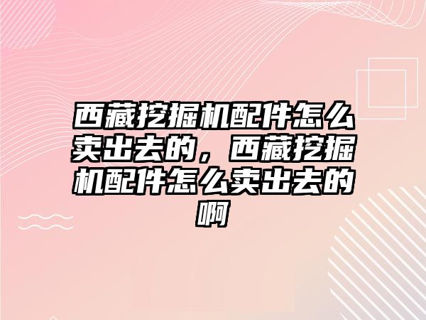 西藏挖掘機配件怎么賣出去的，西藏挖掘機配件怎么賣出去的啊