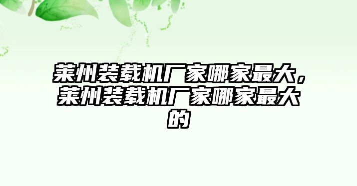 萊州裝載機(jī)廠家哪家最大，萊州裝載機(jī)廠家哪家最大的