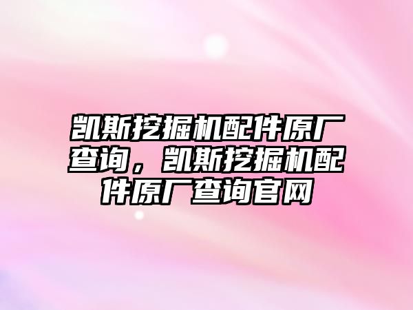 凱斯挖掘機配件原廠查詢，凱斯挖掘機配件原廠查詢官網(wǎng)