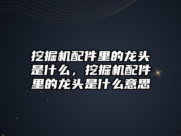 挖掘機(jī)配件里的龍頭是什么，挖掘機(jī)配件里的龍頭是什么意思