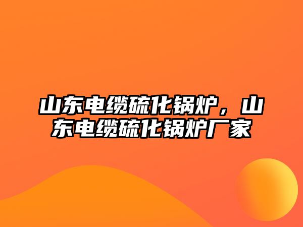 山東電纜硫化鍋爐，山東電纜硫化鍋爐廠家