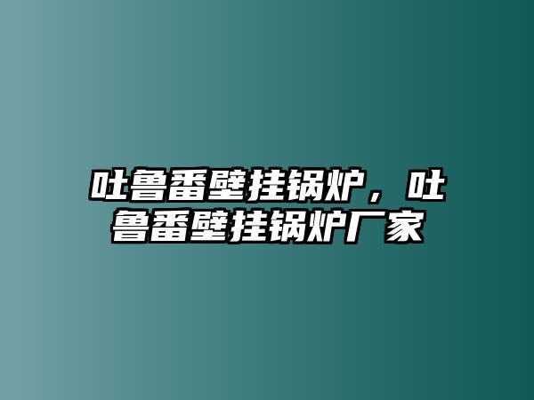 吐魯番壁掛鍋爐，吐魯番壁掛鍋爐廠家