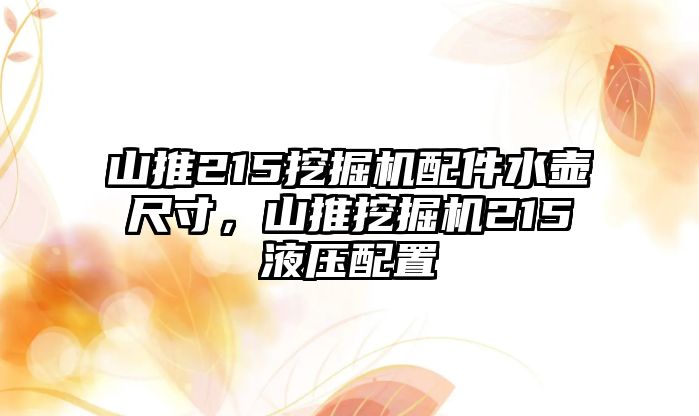 山推215挖掘機配件水壺尺寸，山推挖掘機215液壓配置