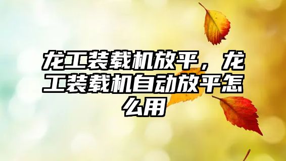 龍工裝載機放平，龍工裝載機自動放平怎么用