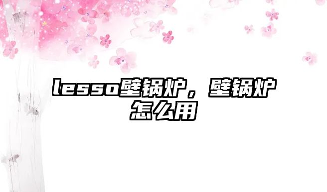 lesso壁鍋爐，壁鍋爐怎么用