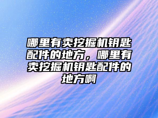 哪里有賣挖掘機鑰匙配件的地方，哪里有賣挖掘機鑰匙配件的地方啊