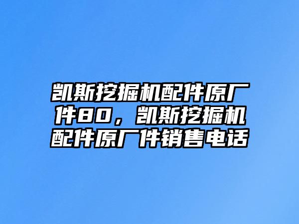 凱斯挖掘機(jī)配件原廠件80，凱斯挖掘機(jī)配件原廠件銷售電話