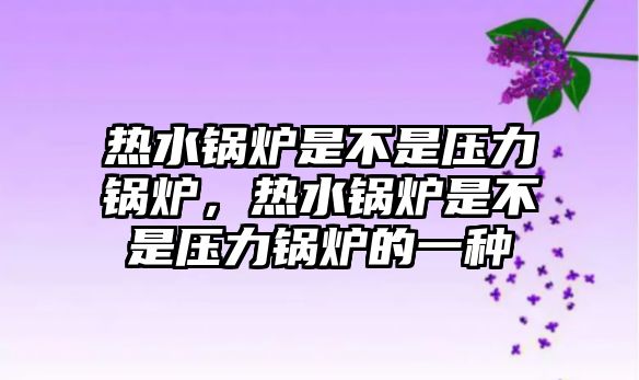 熱水鍋爐是不是壓力鍋爐，熱水鍋爐是不是壓力鍋爐的一種