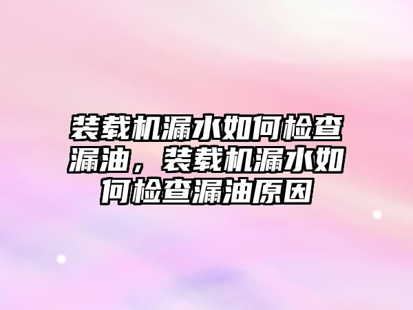 裝載機(jī)漏水如何檢查漏油，裝載機(jī)漏水如何檢查漏油原因