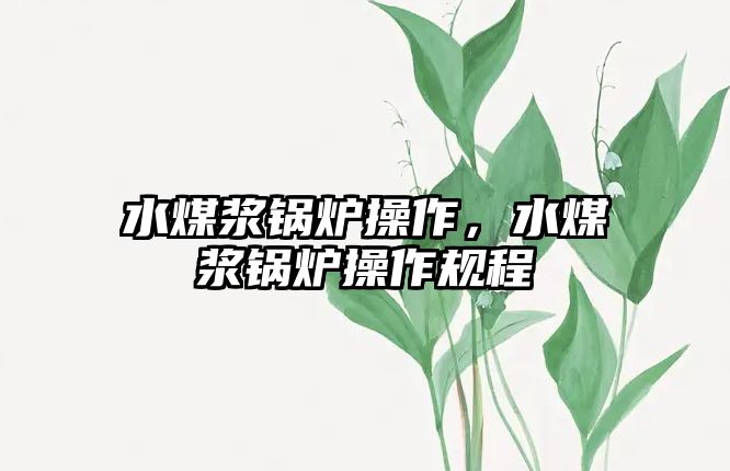 水煤漿鍋爐操作，水煤漿鍋爐操作規(guī)程