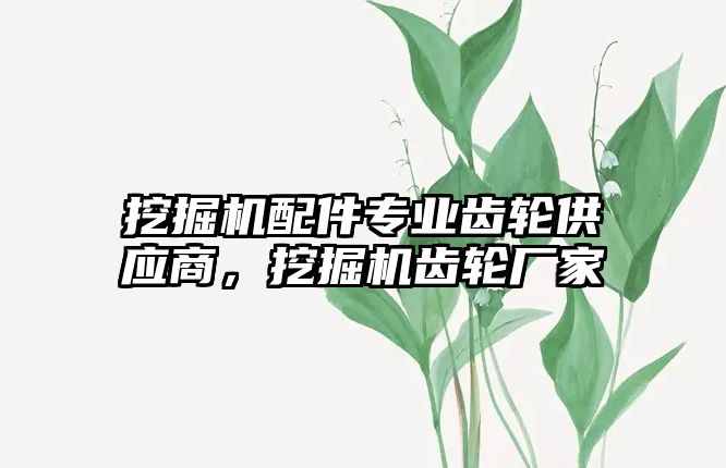 挖掘機配件專業(yè)齒輪供應(yīng)商，挖掘機齒輪廠家