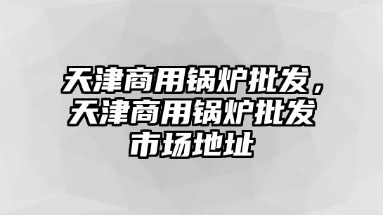 天津商用鍋爐批發(fā)，天津商用鍋爐批發(fā)市場地址