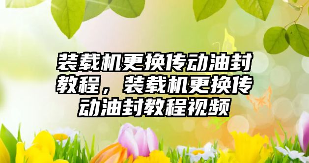 裝載機更換傳動油封教程，裝載機更換傳動油封教程視頻