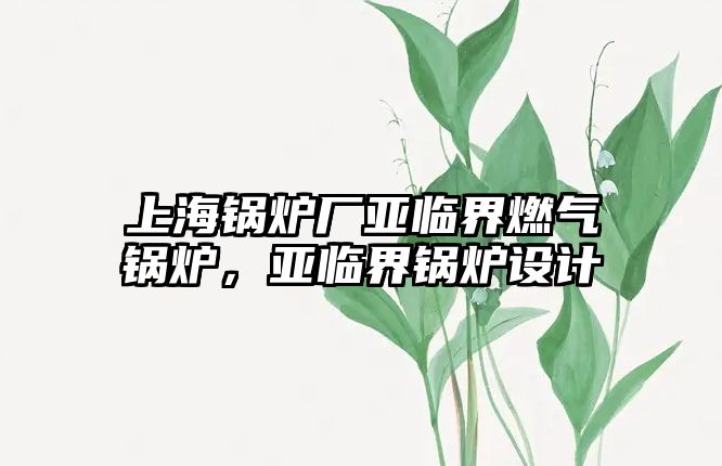 上海鍋爐廠亞臨界燃?xì)忮仩t，亞臨界鍋爐設(shè)計(jì)