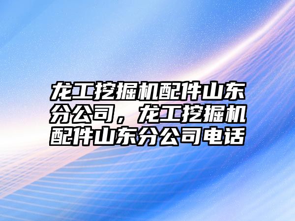 龍工挖掘機配件山東分公司，龍工挖掘機配件山東分公司電話