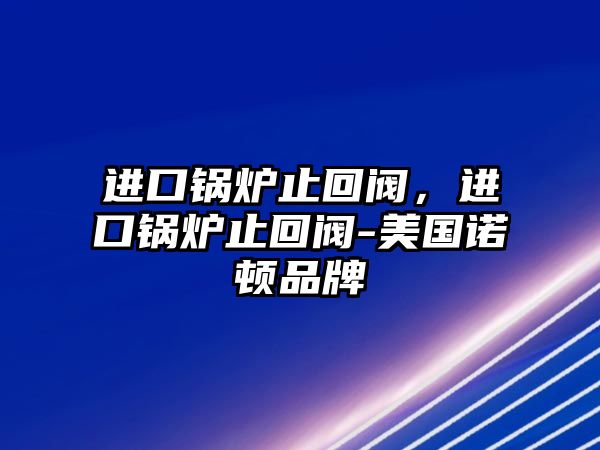 進(jìn)口鍋爐止回閥，進(jìn)口鍋爐止回閥-美國諾頓品牌