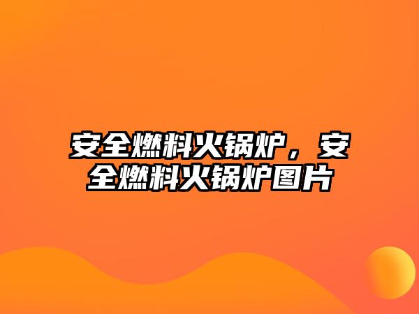 安全燃料火鍋爐，安全燃料火鍋爐圖片